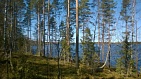 купить земельный участок в финляндии